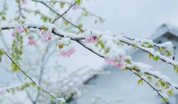 【民俗谚语】春天下雪什么兆头